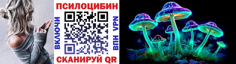 Псилоцибиновые грибы мицелий  Купить закладки  Сердобск 
